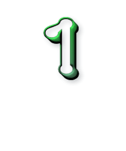 1 an