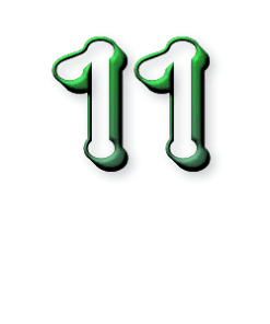 11 ans