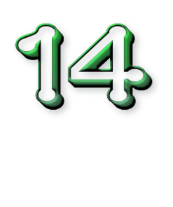 14 ans