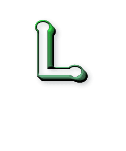 Taille L